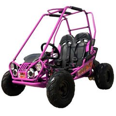 Trailmaster Mini XRX+ 2- Seater GO-KART EAGLE SERIES 163cc Blue