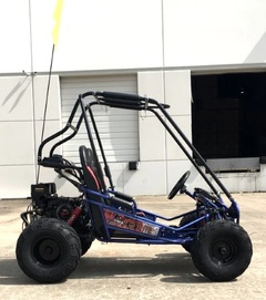Trailmaster Mini XRX+ 2- Seater GO-KART EAGLE SERIES 163cc Blue